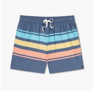 Chubbies swim trunks
